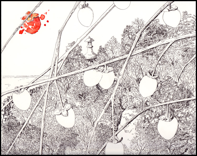 Persimmon