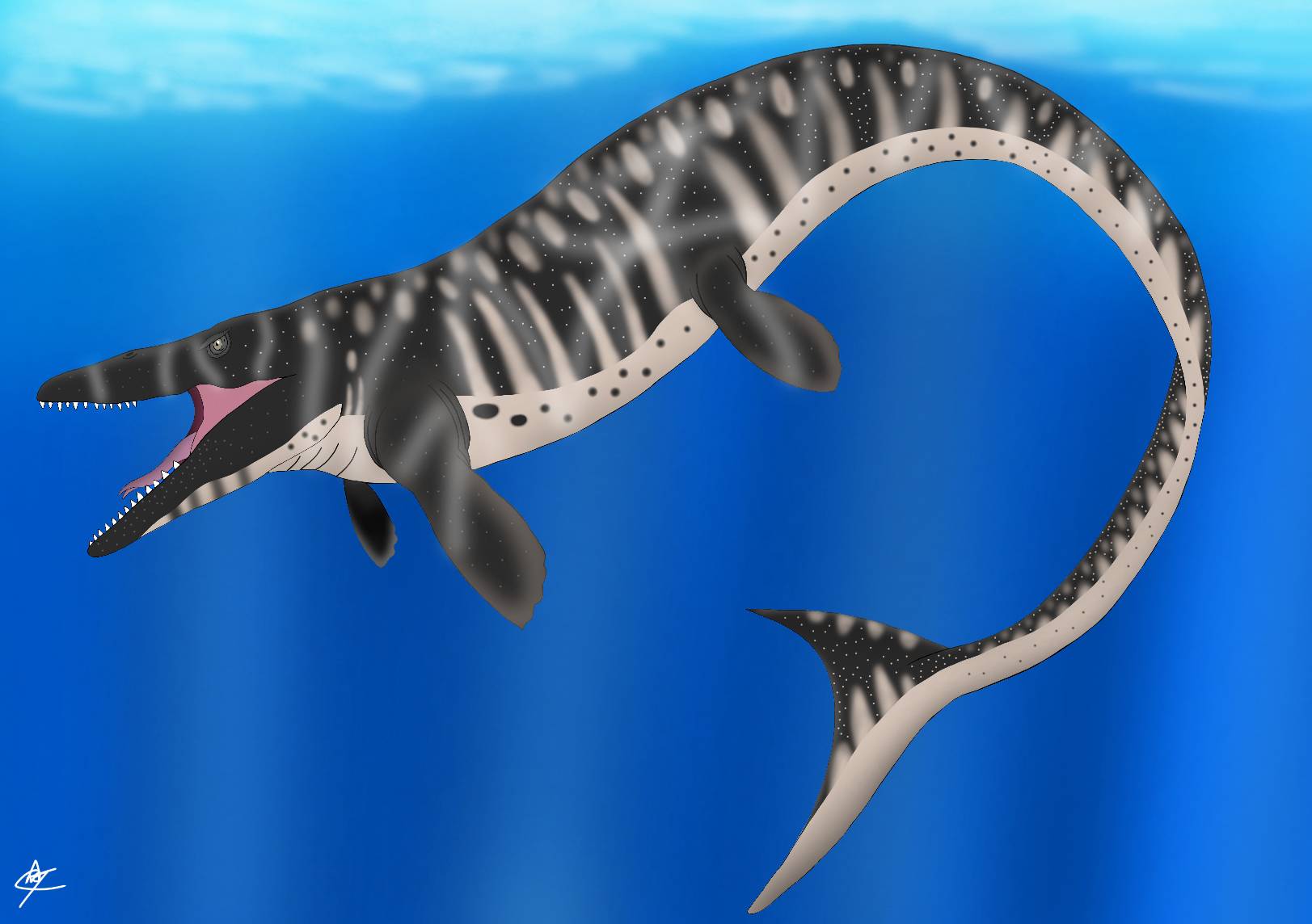 Mosasaurus by Shadow053106 on DeviantArt