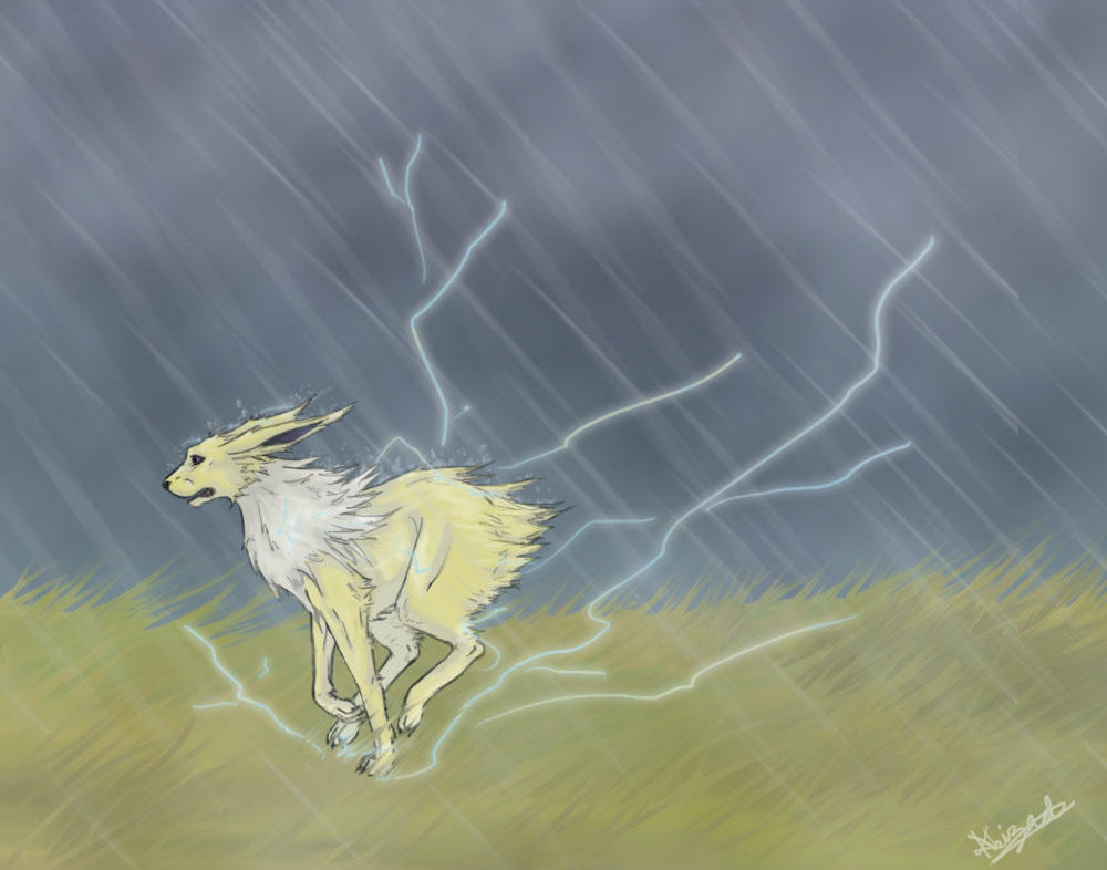 Storm Racer by knk1 on DeviantArt