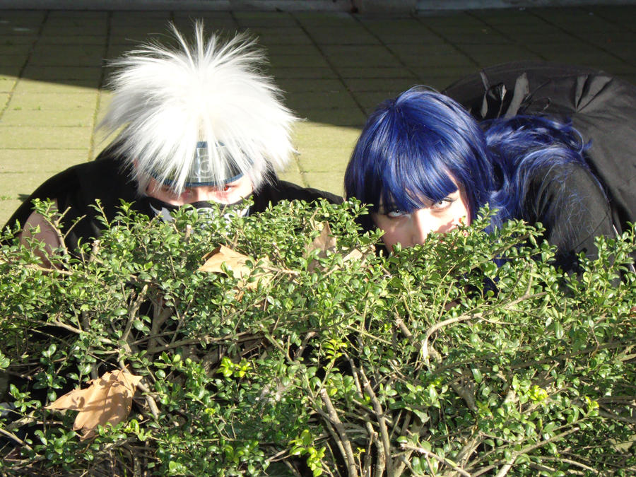 Shrubbery Ninja's