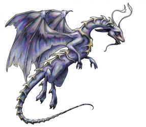 Vertibre Dragon -Colored