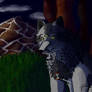 C.Y. look at the moon + Video