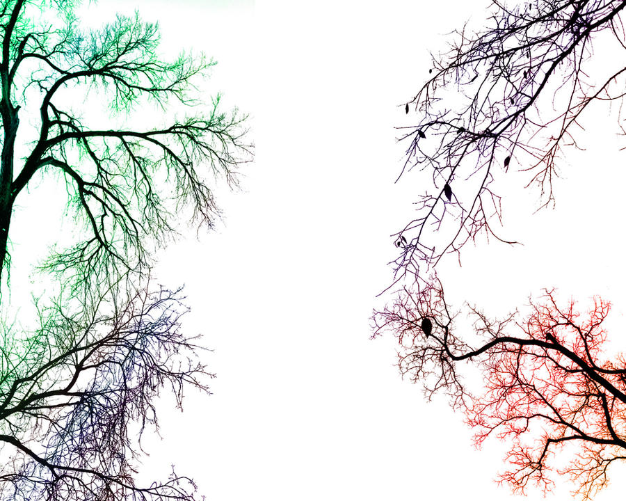 Colorblocked Tree colored trees by a-face-for-radio on DeviantArt