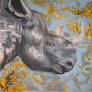 rhino