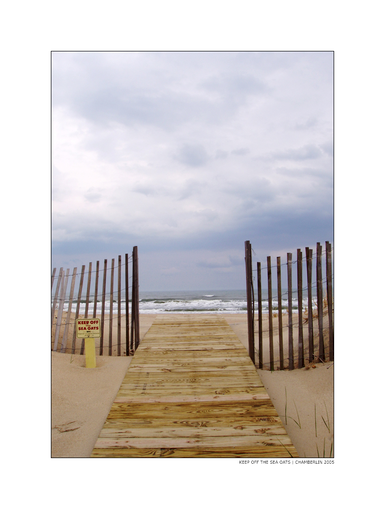 keep off the sea oats