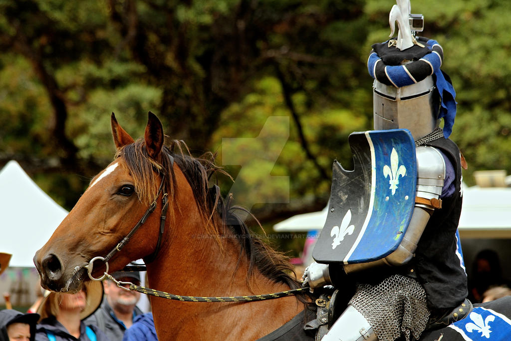 Knight At The Races Knight by crazycrankycritter on DeviantArt