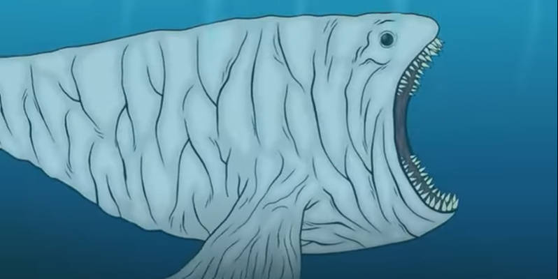 Octaroo Bloop Bloop by Daizua123 on DeviantArt