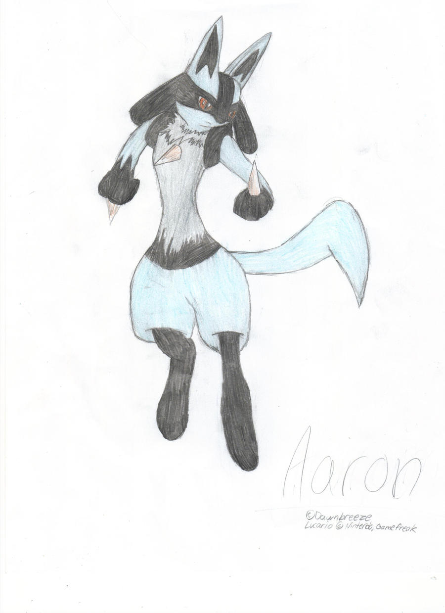 Aaron the Lucario