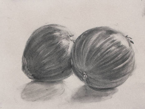 Untitled (onion study)