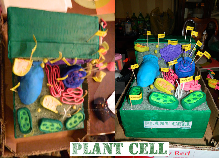 Biology 3D Plant Cell Project by The-MissingLink on DeviantArt