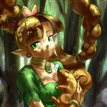 a rather perplexing old forest