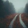 Lost in a moody moment