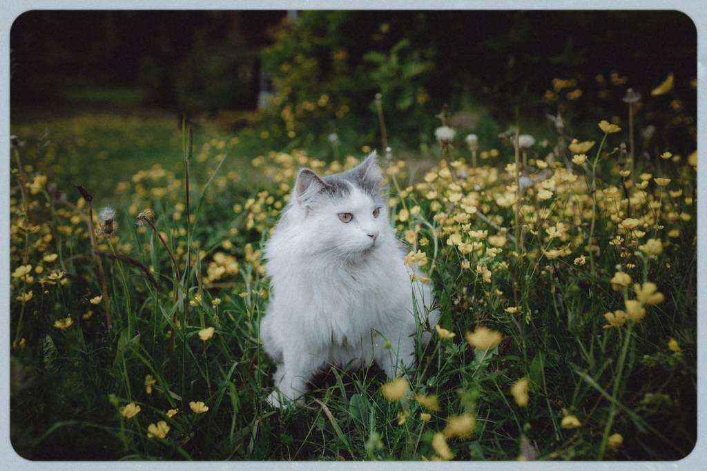 love this photo of azlan :) by aestheticart92 on DeviantArt