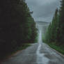 moody forest