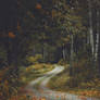 And then autumn came
