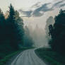 Whispers in the mist