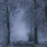 Frost and mystery