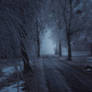 Mystic november