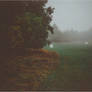 Into the fog