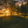 Golden light