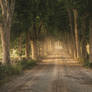 love these kind of roads