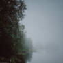 misty august