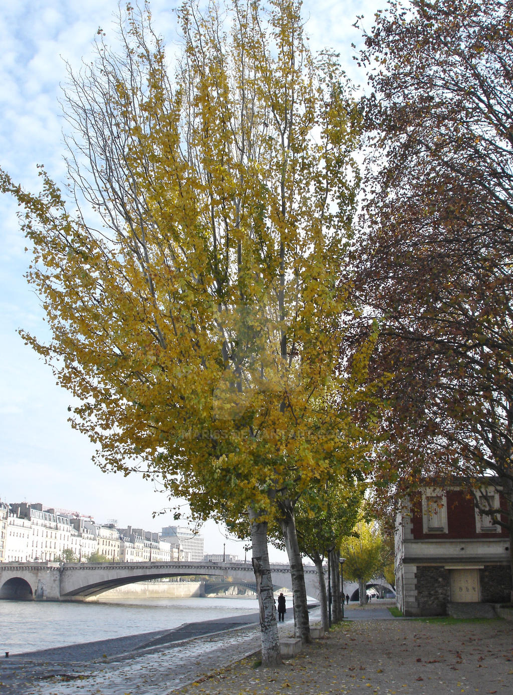 Seine riverside