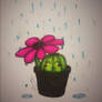 Flower Umbrella