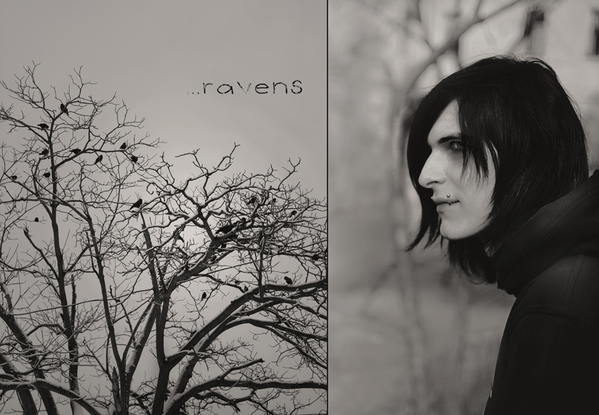 Ravens