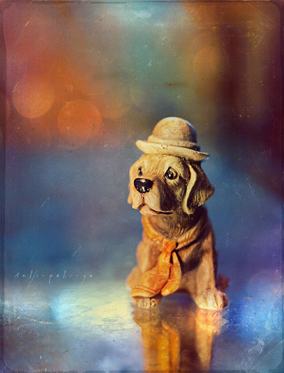 Dog with a hat and a tie by Anti-Pati-ya