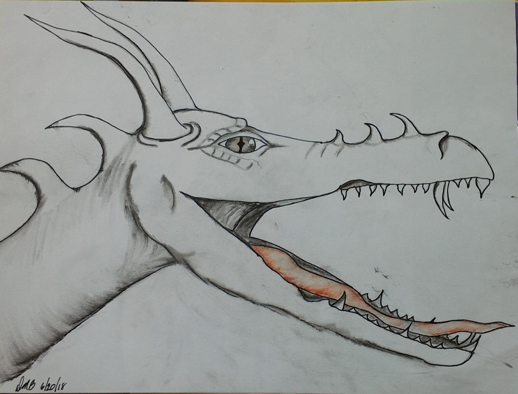 dragon head charcoal and pen