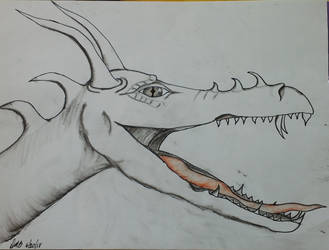 dragon head charcoal and pen