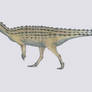 Scutellosaurus laweri