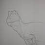 Giganotosaurus Sketch