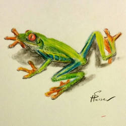 Tree Frog