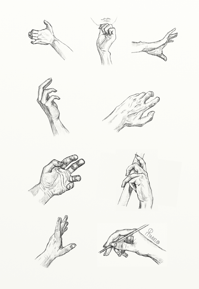 Hand anatomy and gesture study