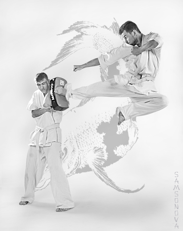 Karate lessons-3