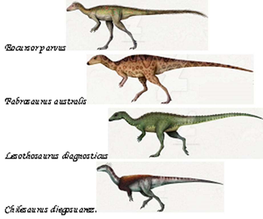 Fabrosauridae by MRuslanY on DeviantArt