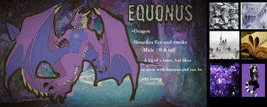 Equonus  ref sheet