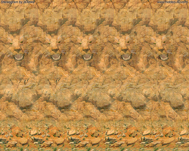 Leo Stereogram