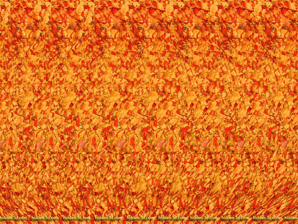 Pussies. 3D Stereogram by 3Dimka on DeviantArt