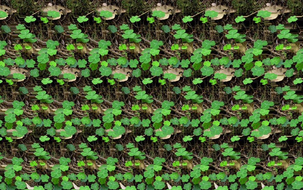 Shamrock Photostereogram