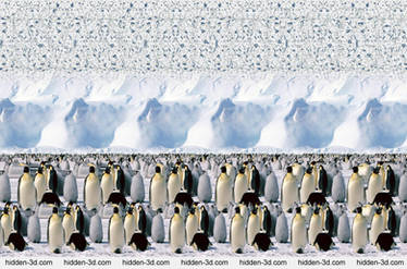 Emperor Penguins. Stereogram