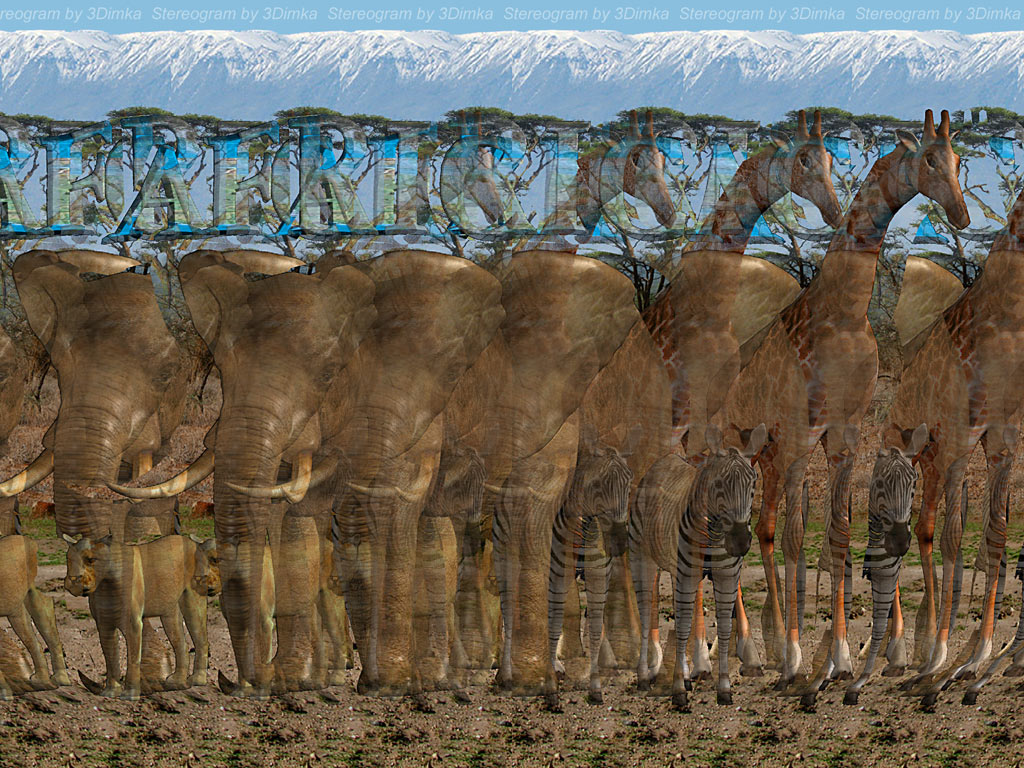 Africa 3D-Stereogram by 3Dimka on DeviantArt