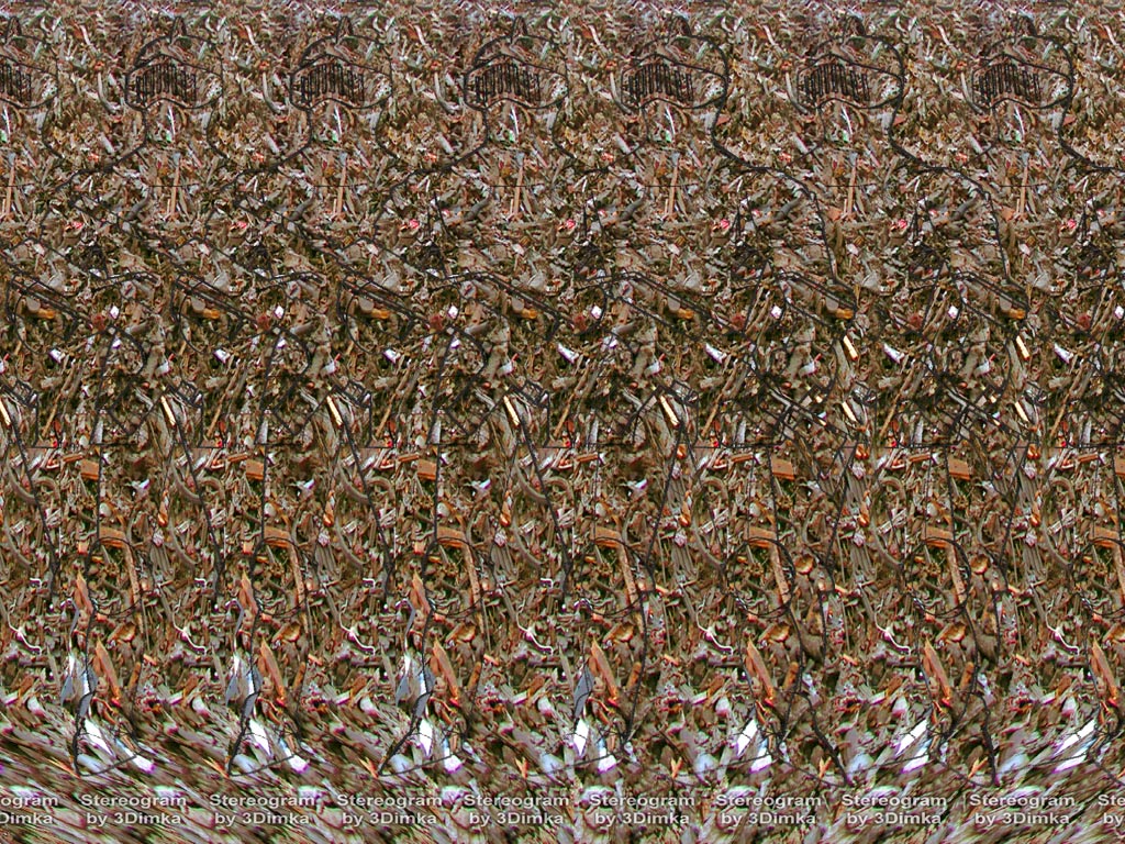 Knight Stereogram