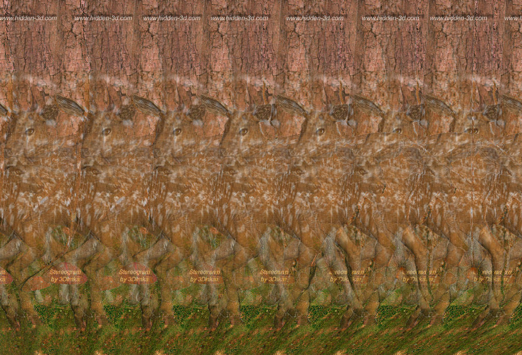 Deer Forest Stereogram by 3Dimka on DeviantArt