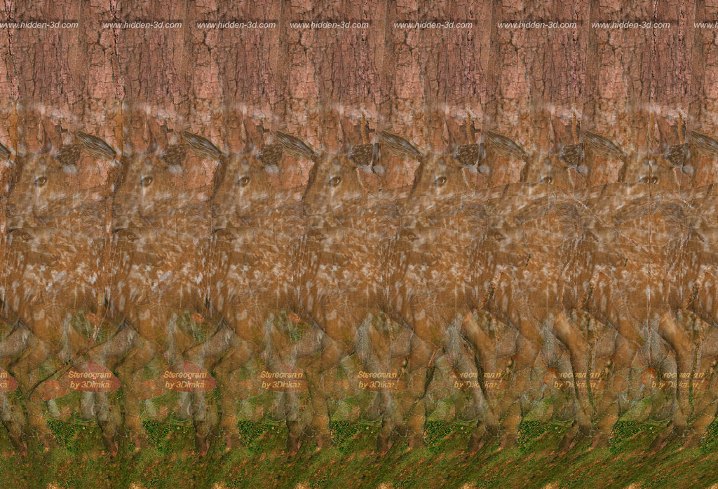 Deer Forest Stereogram