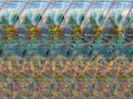 Africa 3D-Stereogram by 3Dimka on DeviantArt