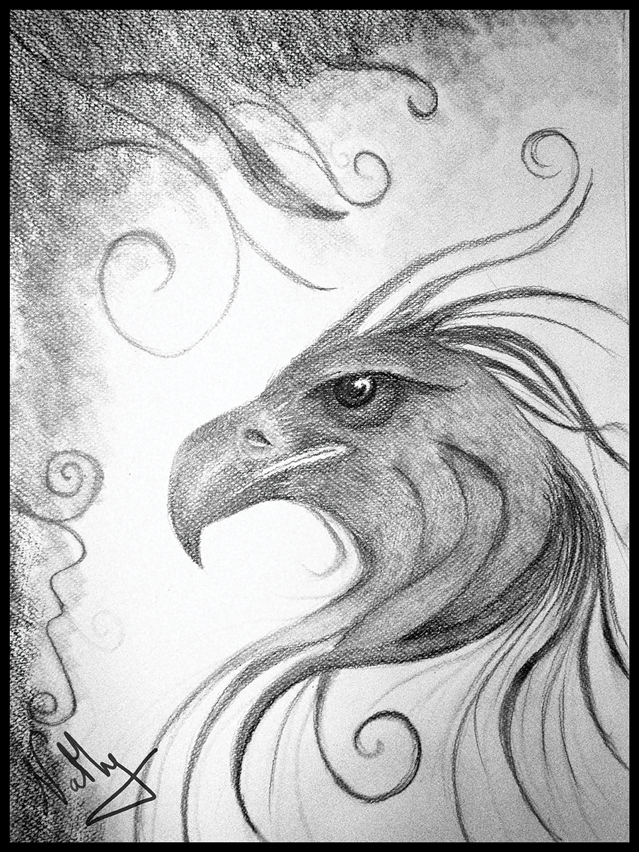 Dessin Tete Phoenix By Lunathyque On Deviantart Dessin Tete Phoenix By Lunathyque On Deviantart