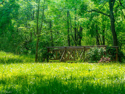 Campagne anglaise